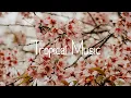 Download Lagu Spirit - Sappheiros (copyright free music)