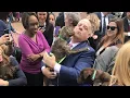 Md pet stores can t sell puppy mill pets