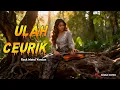 Don't Cry - Ulah Ceurik - Rock Metal Version | Shuka Cover