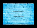 Paula Hartmann - Babyblau Lyrics Video