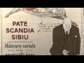 Download Lagu Scandia Sibiu - pate fara E-uri - pate integral (\