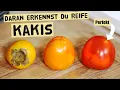 Lagu Warum die meisten Kakis falsch essen! Daran erkennst du ob eine Kaki richtig reif und lecker ist.