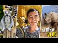 Download Lagu Afrika Çok Korkunç ama Çok Güzel! (Haftalık Vlog)