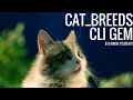 cat - breeds CLI Gem Demo Flatiron Student