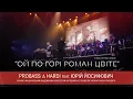 PROBASS ∆ HARDI \u0026 NAONI Orchestra - Ой по горі роман цвіте feat. Юрій Йосифович | LIVE | UKROBASS