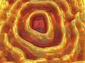 Reaction - diffusion Cinema4D