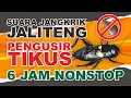 Download Lagu SUARA JANGKRIK JALITENG TERBARU 2024 PENGUSIR TIKUS, DIJAMIN AMPUH DAN TIKUS KABUR❗ 6 JAM NONSTOP❗❗❗