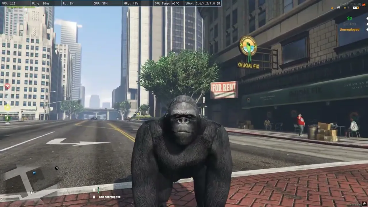 Gorilla