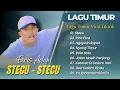 Download Lagu Faris Adam - STECU STECU | Juan Reza - PICA PICA | NGAPAIN REPOT || LAGU POP TIMUR VIRAL TIKTOK 2025
