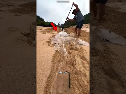 ربط الشباب النهر بالبحر بطريقة مذهلة 😮🌊