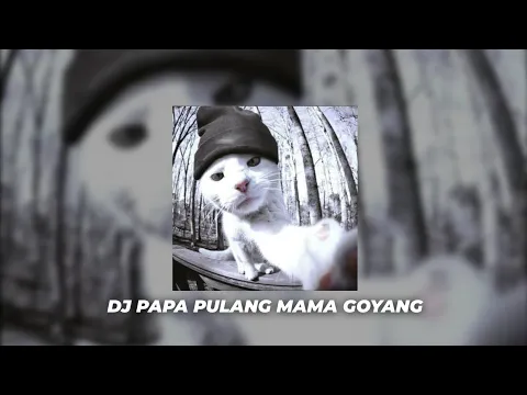 Download MP3 DJ PAPA PULANG MAMA GOYANG (Speed Up) Viral Tiktok