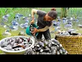 Download Lagu Harvest a Giant Pond full of Huge Mussels to Sell at the Market, Cook Mussel Porridge to eat