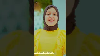 يا طير يا طاير فوق سلامات يارايح لرسول الله 
