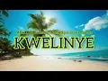Mellow & Sleazy, TmanXpress - kwelinye (Lyrics) ft. keynote