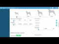 Adding and Editinga Pet