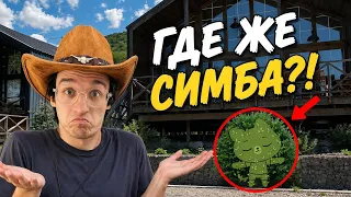 Симба спрятался как ХАМЕЛЕОН! (Прятки с котиками!)