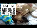 We Stayed at an Airbnb for the First Time in Tampa Florida Pros Cons