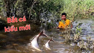 Nó nổ cái ầm ngoài sông, cá ăn nóng lạnh từ sáng tới chiều | Săn bắt SÓC TRĂNG |