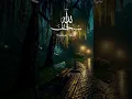 Download Lagu Tumhari zindagi me kuch log to aise hone 😊 #islamicstatus #urdulyrics #whatsappstatus #S.Creative