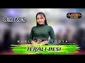 Lagu TERALI BESI - NURLITA MELODYA _ OM ACS