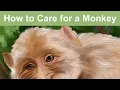 A selection of WikiHow articles