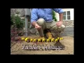 ELECTRICITY Recognizing and Avoiding the Hazards Part 1