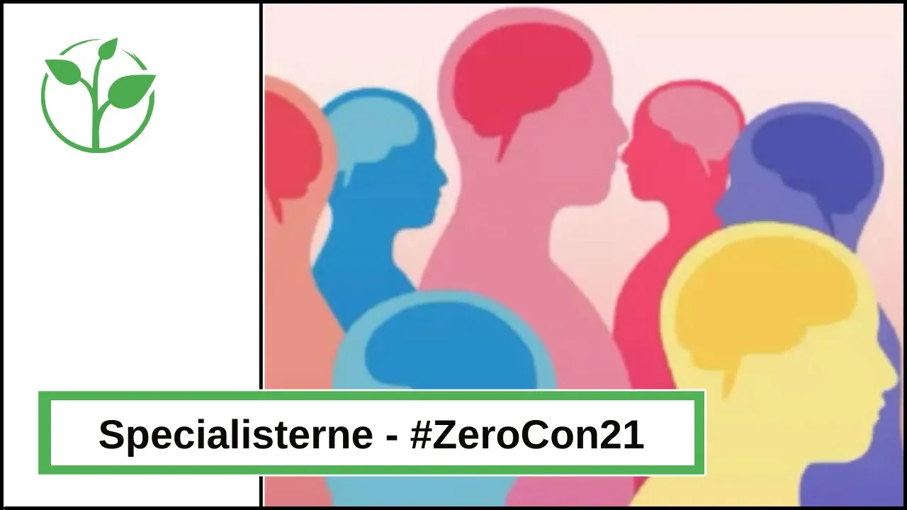 Specialisterne Foundation and IBM: Inclusion of a neurodiverse workforce