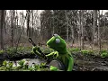 A Special Performance of "Rainbow Connection" from Kermit the Frog | The Muppets