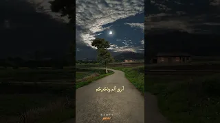 ماذا عساي بليلة    حالات واتس أب دينية أناشيد إسلامية بدون موسيقى      دندنها