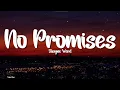 Download Lagu Shayne Ward - No Promises (Lyrics)