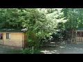 Lost River Valley Campground Cabin Rental