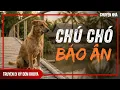 Lagu CHÚ CHÓ BÁO ÂN: Cứu Vật Vật Trả Ơn - Cứu Nhân Nhân Trả Nghĩa