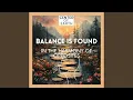Balance Is Found in the Harmony of Opposites