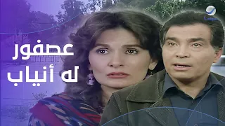 فيلم عصفور له انياب بطولة حسن يوسف و يسرا و صلاح قابيل و هياتم 