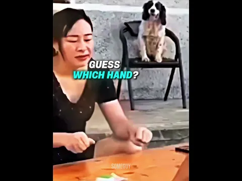 Smartest Dog Partner In Crime Ever 😂👏
