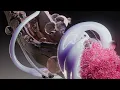 Jos & Eli - Starlit