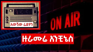 ዙራሙሬ አንቺኔስ 