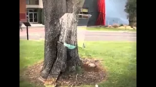 احيييييييه ايه دااا     الناااااس كلها لالازم تشوووف الفديو دا دندنها