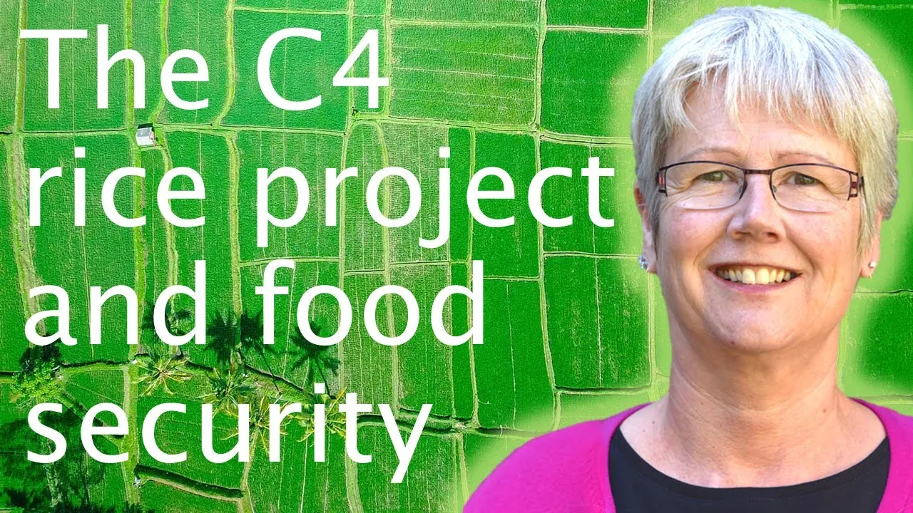 Food security & a more efficient photosynthesis - Jane Langdale