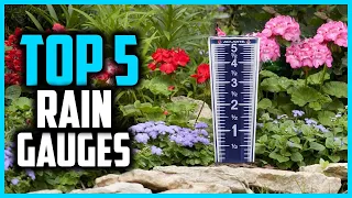 Top 5 Best Rain Gauges in 2025