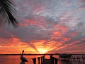 Siesta Key Live - Relaxing Sounds of Calm Waves and Island Life