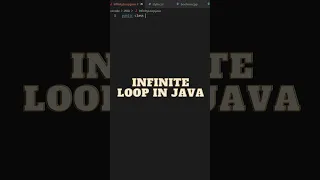 INFINITE LOOP IN JAVA