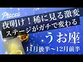 うお座♓️2025年11月後半〜12月前半🌝 うお座さん、すごい希望見えそう！変わり様が半端ない…終わりと始まり、区切りのとき