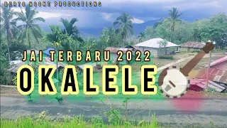 Download OKALELE•BONEY ZUA•LAGU JA'I TERBARU 2022•NEW REMIX MP3