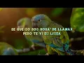 Maluma - Sobrio (Lyrics/Letra)