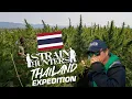 Strain Hunters Thailand Expedition FULL DOCUMENTARY