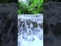 Download Lagu Misty Chinese Mountains, Sleep Music, Dreamy Sanctuary #sleep #relax #nature #asmr #shorts #love