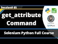 get - attribute command in Selenium Python Session 65