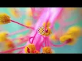 Elderbrook, George FitzGerald - Glad I Found You