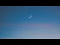 Morgan Wallen - Don’t Think Jesus (Lyrics)